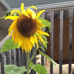 Meet your Posher, Heather